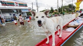 Illustrative image (Photo: AFP)