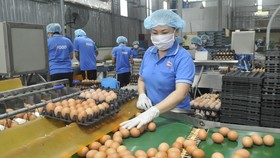 Hoạt động sản xuất tại một doanh nghiệp. Ảnh: CAO THĂNG