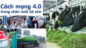 Cách mạng 4.0 trong chăn nuôi bò sữa giúp việc quản lý và vận hành trang trại tối ưu hóa được hiệu quả