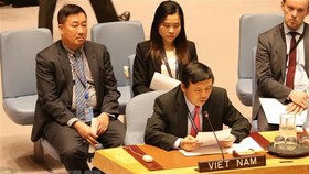 Phái đoàn đại diện thường trực Việt Nam tại Liên hợp quốc tham dự một phiên thảo luận. Ảnh: Hữu Thanh/TTXVN