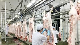 Cảnh báo thiếu nguồn cung thịt heo cuối năm