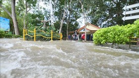 Cảnh ngập lụt sau những trận mưa lớn ở Mandya, bang Karnataka, Ấn Độ, ngày 11-8. Ảnh: THX/TTXVN