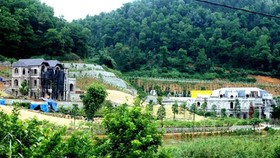 Nhiều cá nhân, tập thể liên quan tới sai phạm đất rừng Sóc Sơn bị kỷ luật