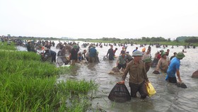 Người dân nô nức tham gia lễ hội đánh cá Đồng Hoa
