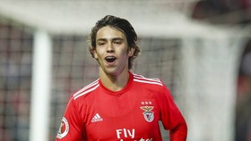 Joao Felix đang được quan tâm bởi hầu hết các đội bóng lớn nhất. Ảnh: The Sun