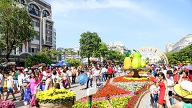Thời tiết dịp Tết Kỷ Hợi rất thuận lợi để du xuân