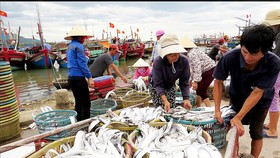Tạo điều kiện để nghề cá phát triển bền vững