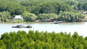 Kiến nghị bổ sung huyện Cần Giờ vào quy hoạch không gian biển quốc gia