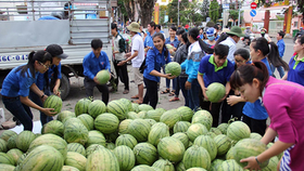 Xắn tay giúp nông dân vượt khó