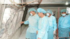 Thủ tướng kiểm tra công tác chống dịch tả heo châu Phi ở Đông Anh. Ảnh VGP