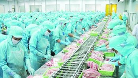 Cả nước xuất khẩu đạt gần 245,5 tỷ USD