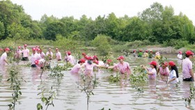 Chung tay trồng rừng phòng hộ Cần Giờ
