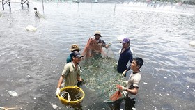 Ngành điện góp phần xây dựng nông thôn mới