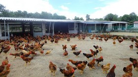 Phối hợp bảo vệ môi trường