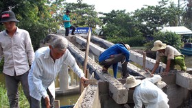 Người dân tình nguyện ở ấp Minh Kiên A đang cạy ván cốp pha, đổ móng cầu Kênh 10