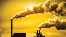 Vietnam must pay attention to environmental issues.