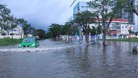 Vũng rốn Nhà Bè