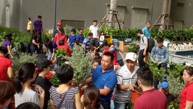 Tình nguyện viên trao tặng cây cho người dân. Nguồn: NHIPCAUDAUTU.VN