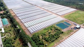 Người dân được tham gia, chia sẻ thành quả phát triển dọc bờ sông Sài Gòn
