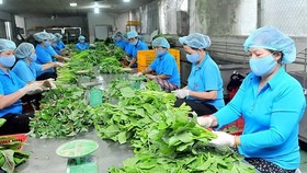 Cơ chế, chính sách phù hợp phát triển hợp tác xã