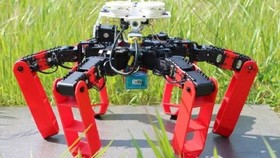 Phát minh robot mới di chuyển không cần GPS