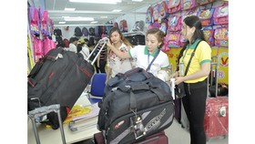 TPHCM tăng cường kết nối với các địa phương