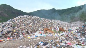 Hơn 35 tỷ đồng để vận chuyển rác thải từ Côn Đảo về đất liền