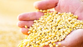 Lối thoát cho cuộc chiến thương mại Mỹ - Trung Quốc