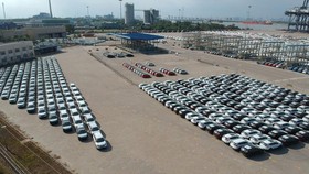 Ô tô nhập khẩu để tại cảng SPCT Ảnh: THÀNH TRÍ