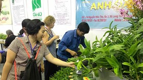 Người tiêu dùng chọn mua hoa kiểng