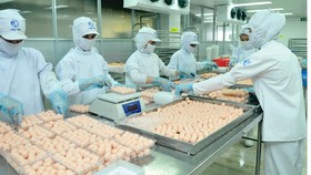 Hàng hóa phong phú, đảm bảo an toàn thực phẩm