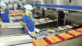 Doanh thu từ 4 CTBOTT năm 2018 đạt gần 31.000 tỷ đồng