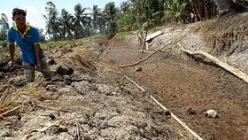 ĐBSCL: Mặn có khả năng xâm nhập sâu 40 - 50km