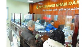 Tăng cường giám sát hoạt động Quỹ Tín dụng nhân dân tại TPHCM