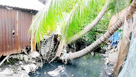 Gian nan chỉnh trang đô thị