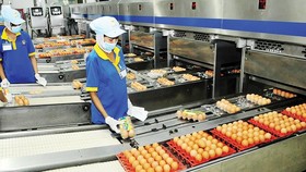 Sản xuất công nghiệp và bán lẻ của TPHCM tăng