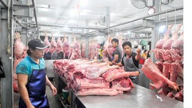 Loay hoay xác định thuế hộ kinh doanh cá thể