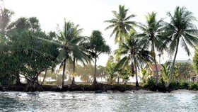 Quốc đảo Tuvalu đang chìm dần