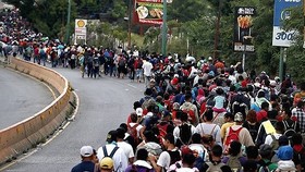 UNHCR quan ngại sâu sắc về chính sách nhập cư của Mỹ
