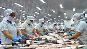 VHC’s export value up 30 percent in 1st quarter