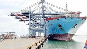 Nhu cầu cao từ ngành Logistics và Quản lý chuỗi cung ứng