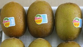 6 bước đi đến thành công