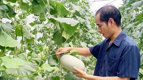 Nắm rõ số liệu để nâng chất sản phẩm nông nghiệp