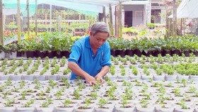 76% hội viên trang trại khá và giàu