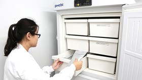 Ngân hàng hạt giống Vườn thực vật Singapore