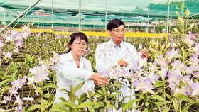 Nghiên cứu thành công nhiều giống rau, hoa, vaccine mới