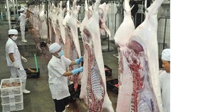 Có thể nhập khẩu thịt heo từ 24 quốc gia