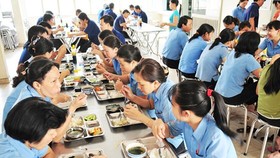 Nhập cuộc với thực tế