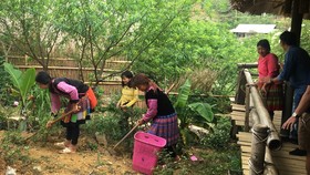 Nỗi lo homestay