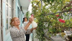 Áo mới đón xuân